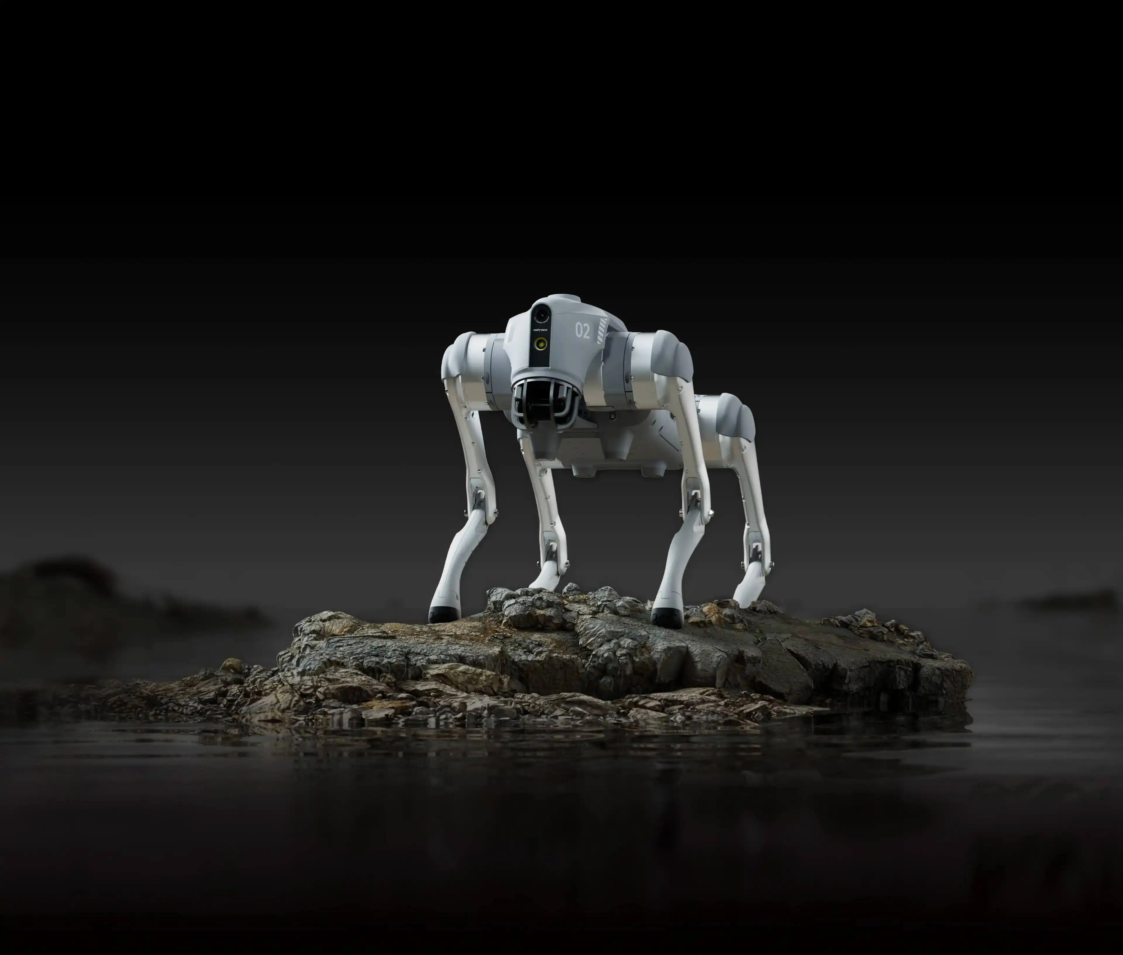 Unitree GO2 robot dog shown in an official product image for inspection and field robotics