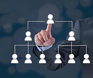 HR Optimization